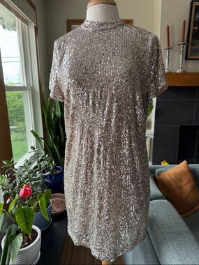 Superdry Sequin Short Sleeve Shift Dress in Blush Silver